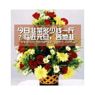 今日韭菜多少钱一斤?临近元旦,各地韭菜行情走势预测_开云体育(图2) 今日韭菜多少钱一斤?临近元旦,各地韭菜行情走势预测_开云体育(图2)