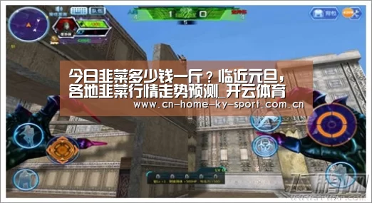 今日韭菜多少钱一斤?临近元旦,各地韭菜行情走势预测_开云体育(图3) 开云集团