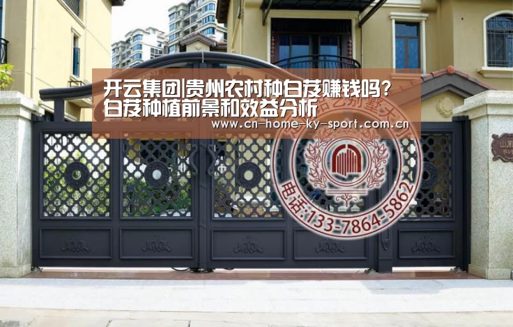 开云集团|贵州农村种白芨赚钱吗?白芨种植前景和效益分析(图2)